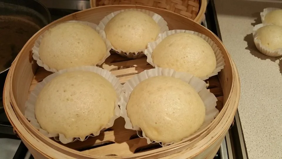 jane steambun